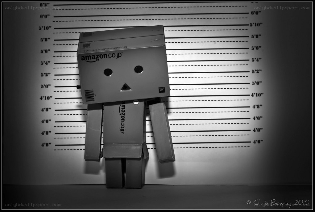 Danbo mugshot
