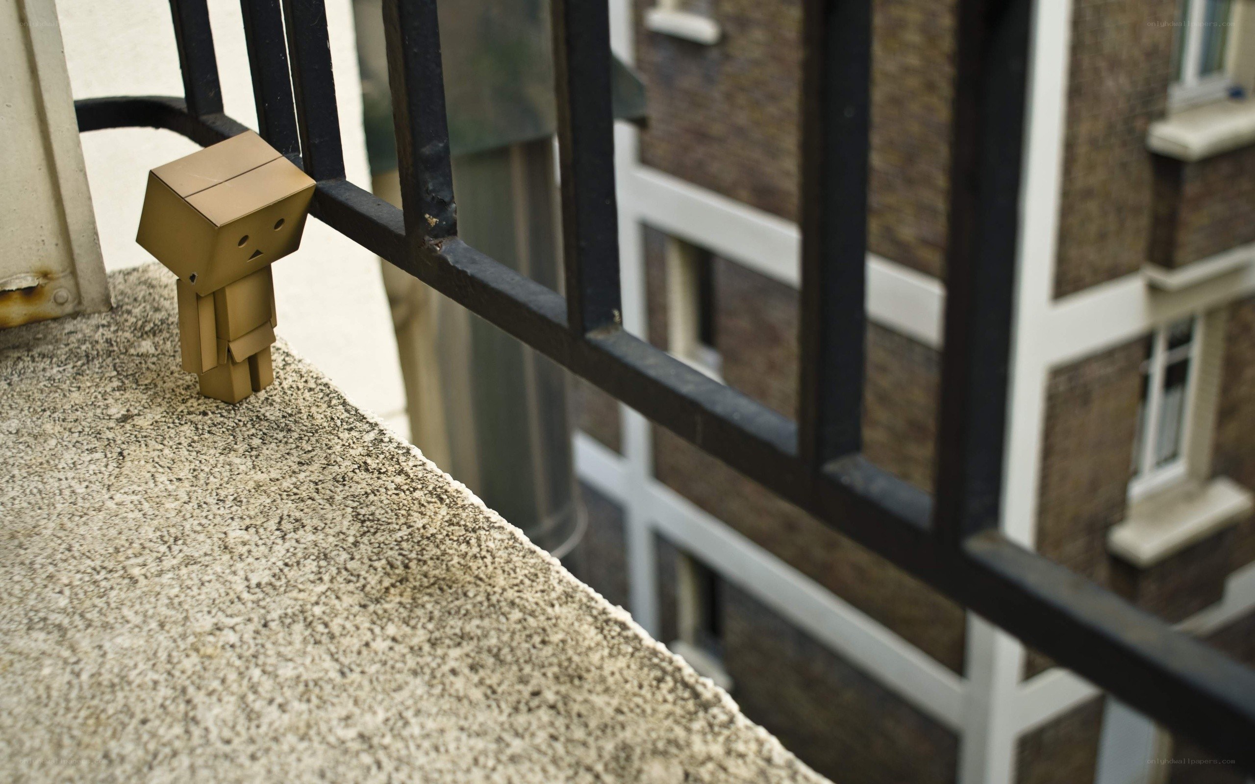 Danbo on a balcony