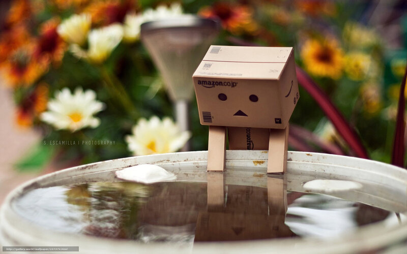 Danbo on a birdbath