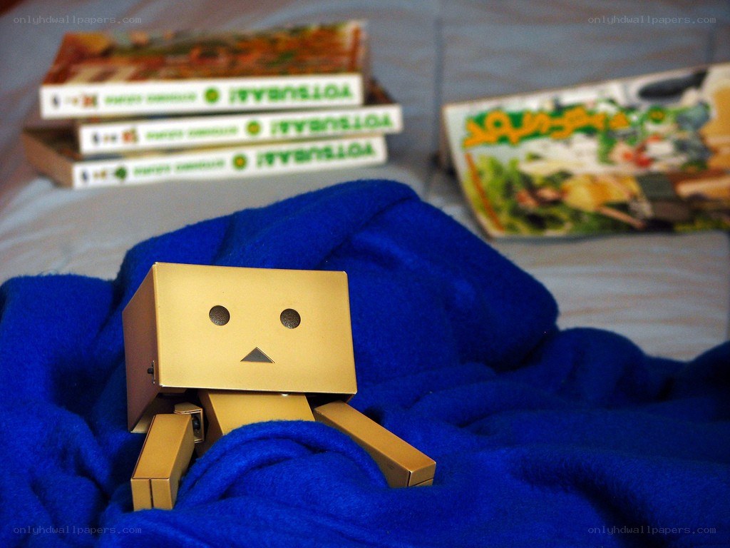 Danbo on a blue blanket