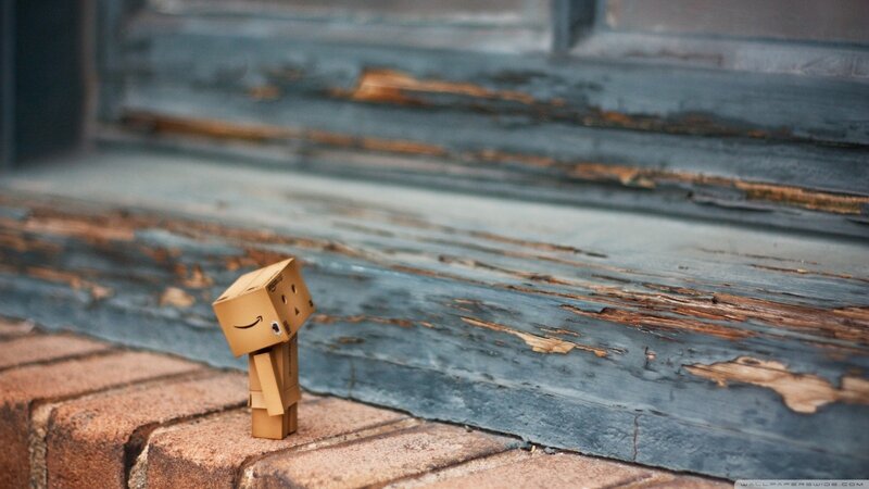 Danbo on a brick step