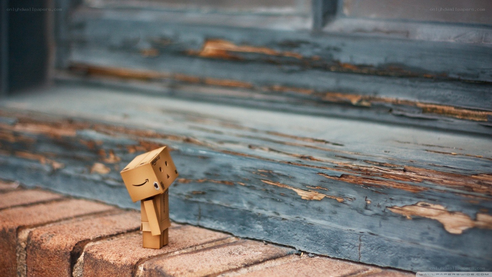 Danbo on a brick step