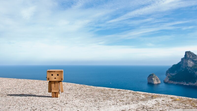 Danbo on a cliff overlooking the sea
