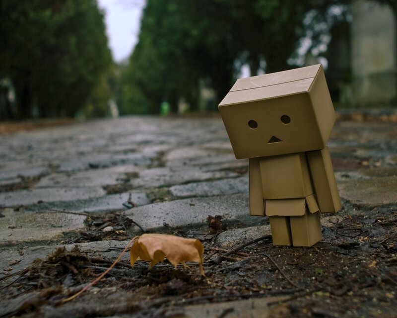 Danbo on a cobblestone path