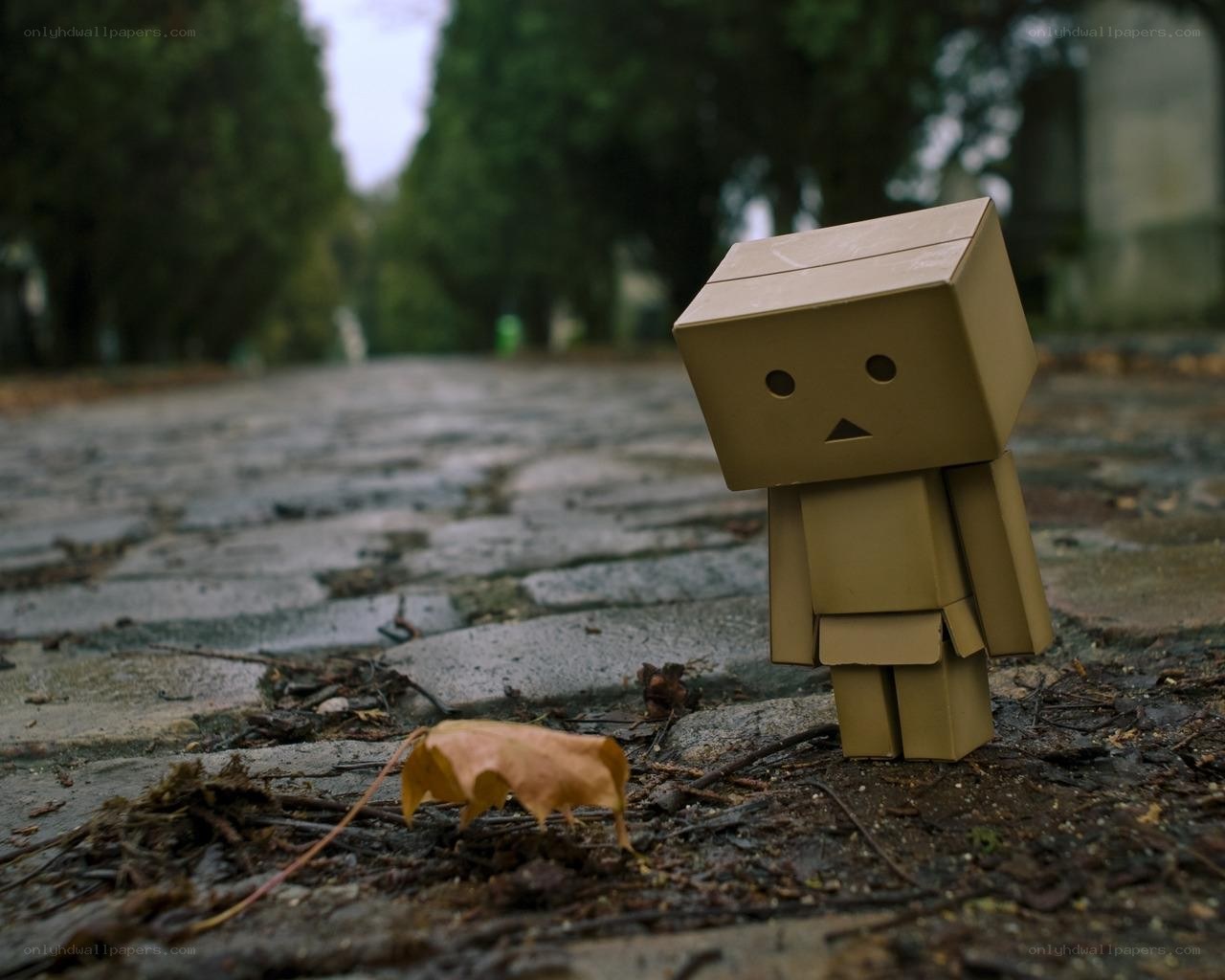 Danbo on a cobblestone path
