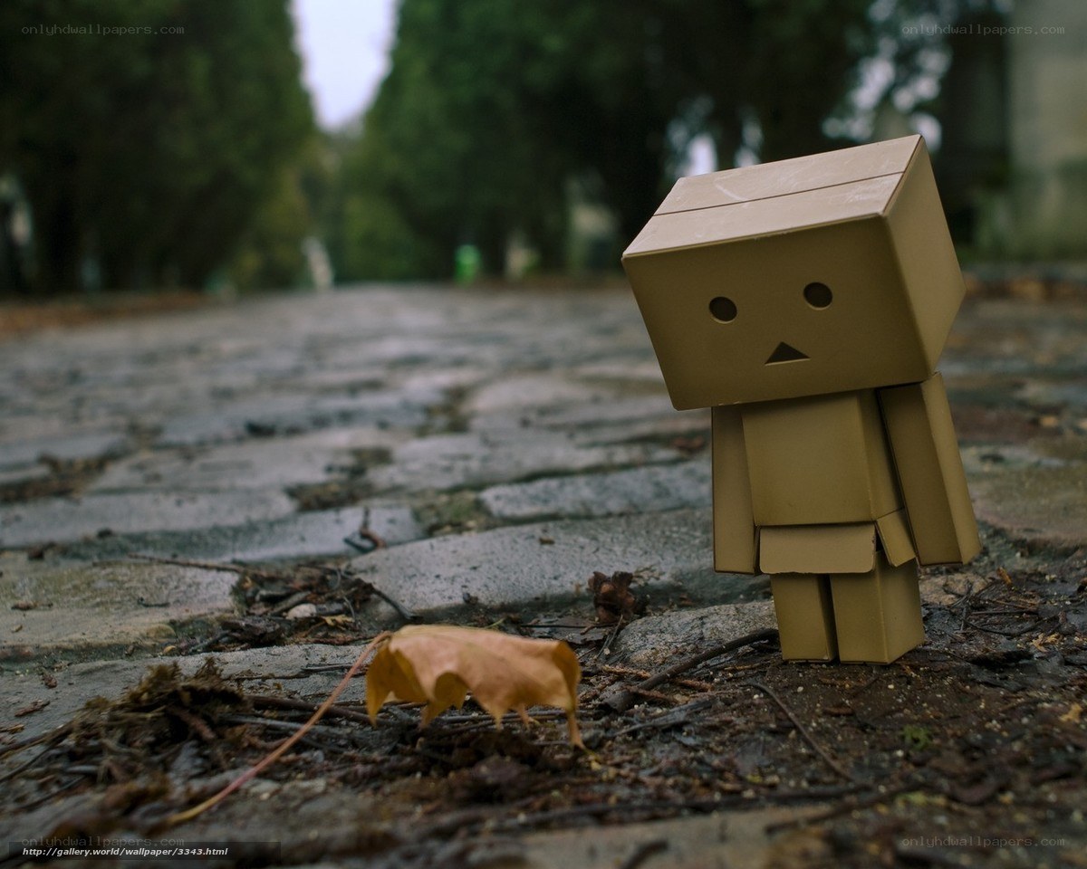 Danbo on a cobblestone path