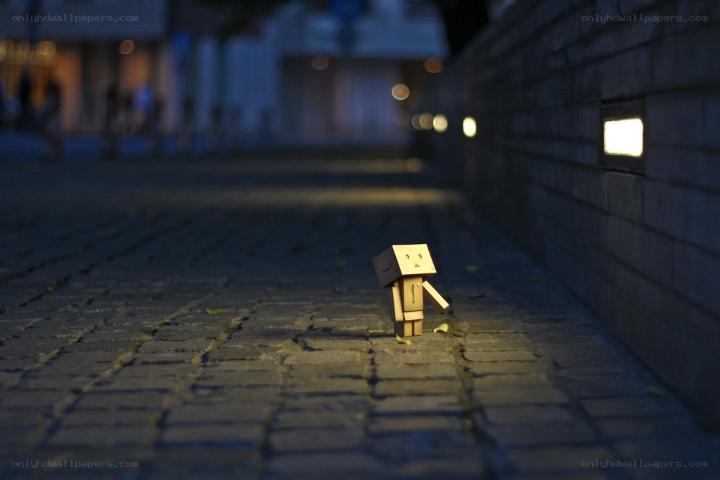 Danbo on a cobblestone street