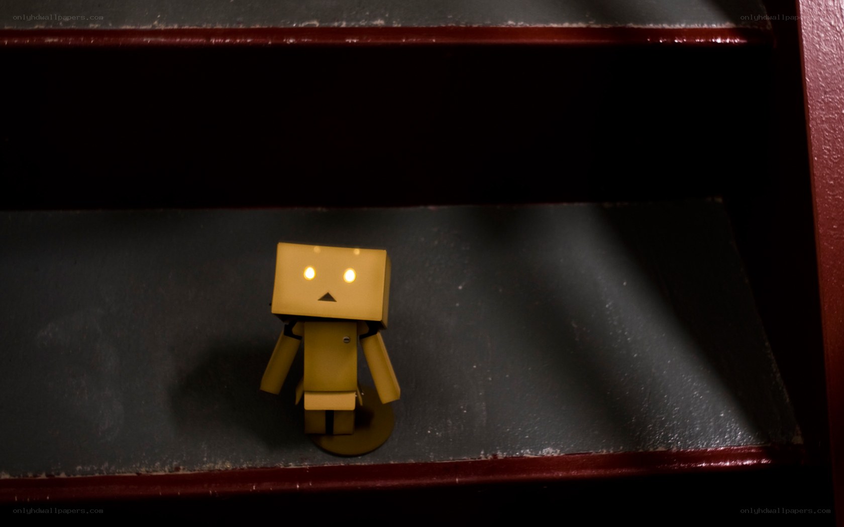 Danbo on a dark shelf