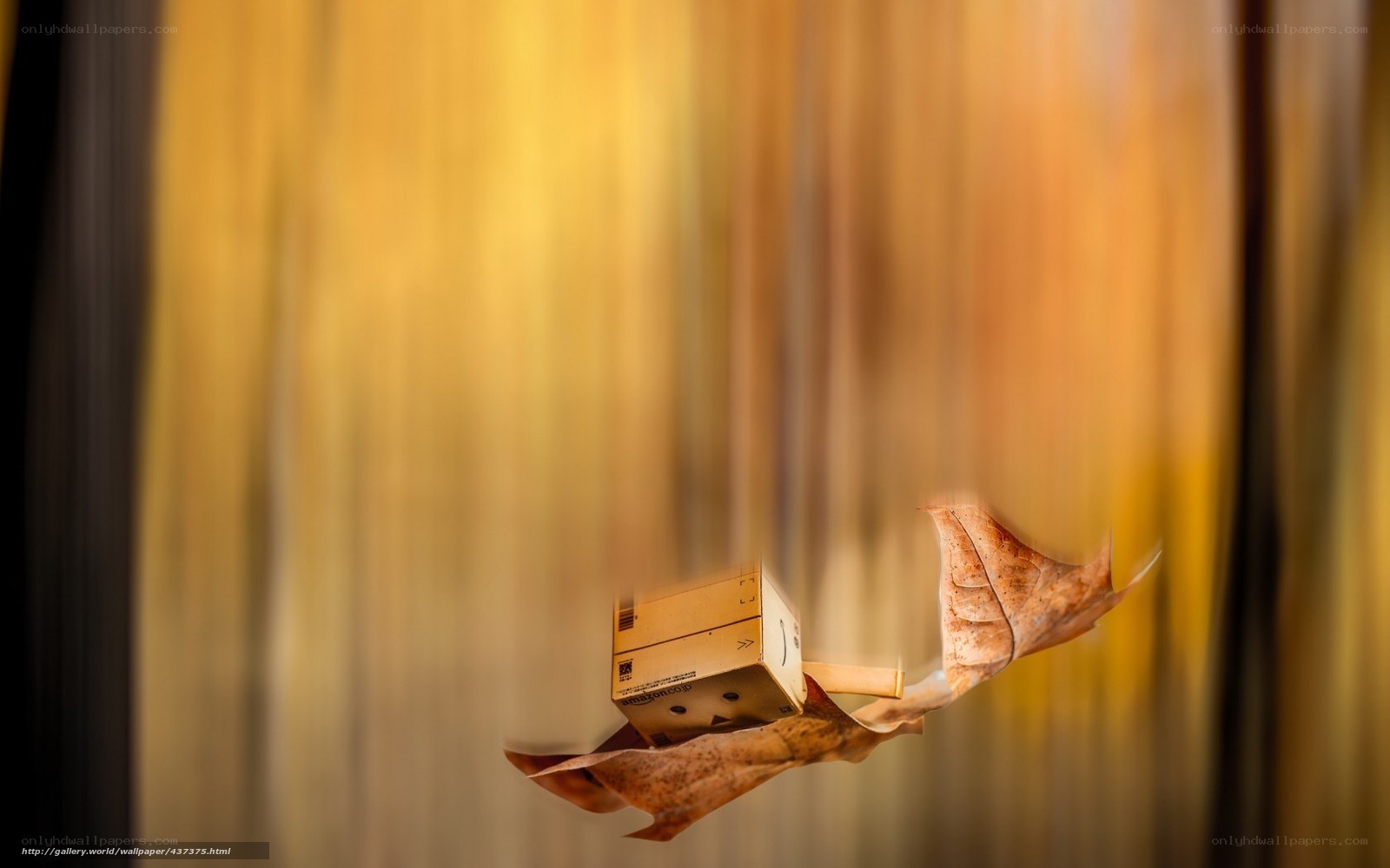 Danbo on a falling leaf