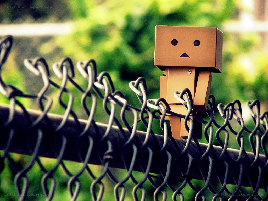 Danbo on a fence