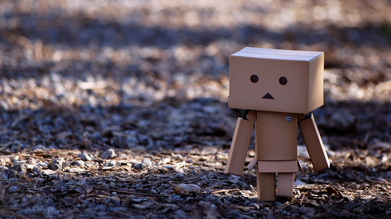 Danbo on a forest path
