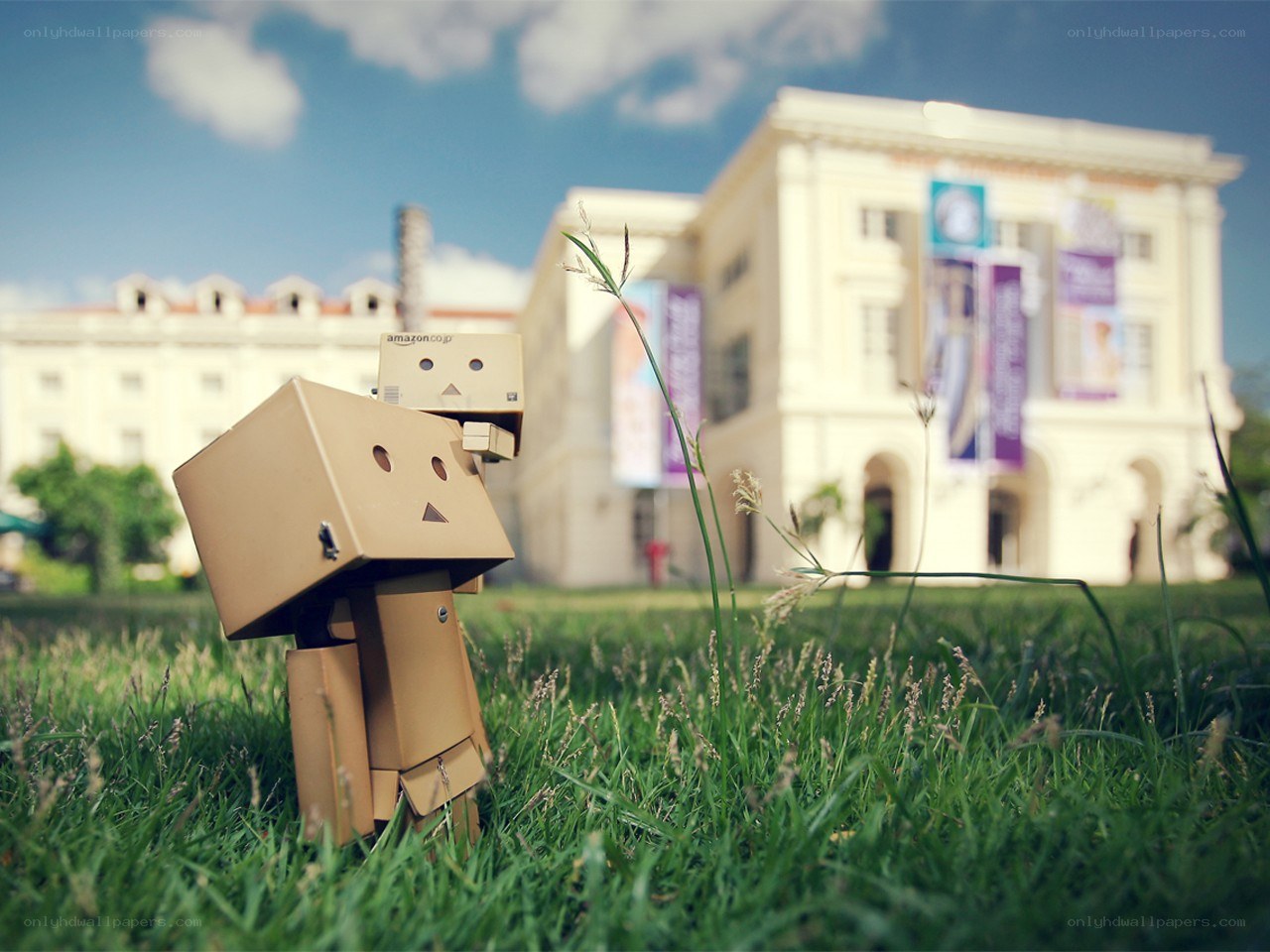 Danbo on a grassy lawn
