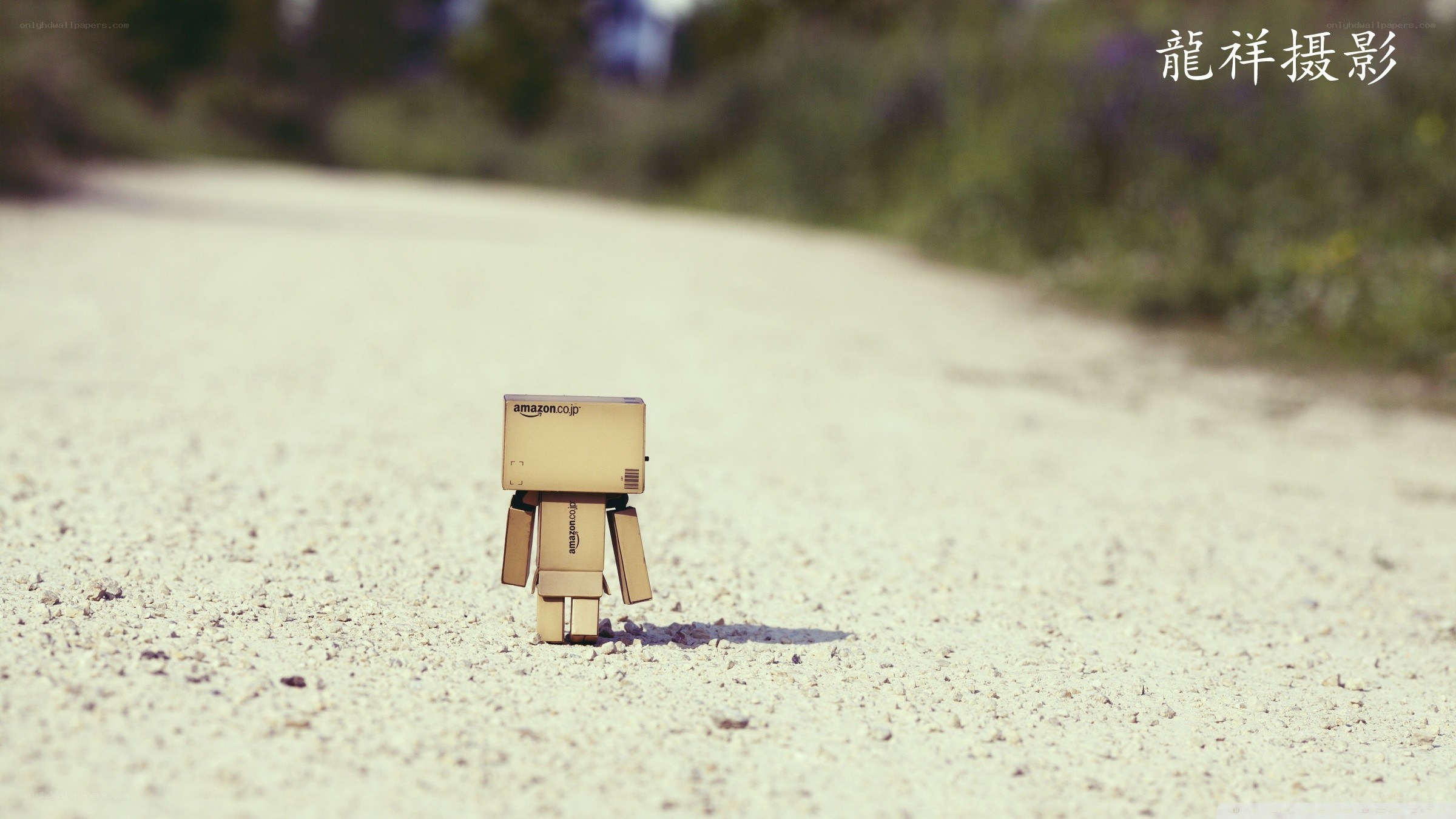 Danbo on a gravel path
