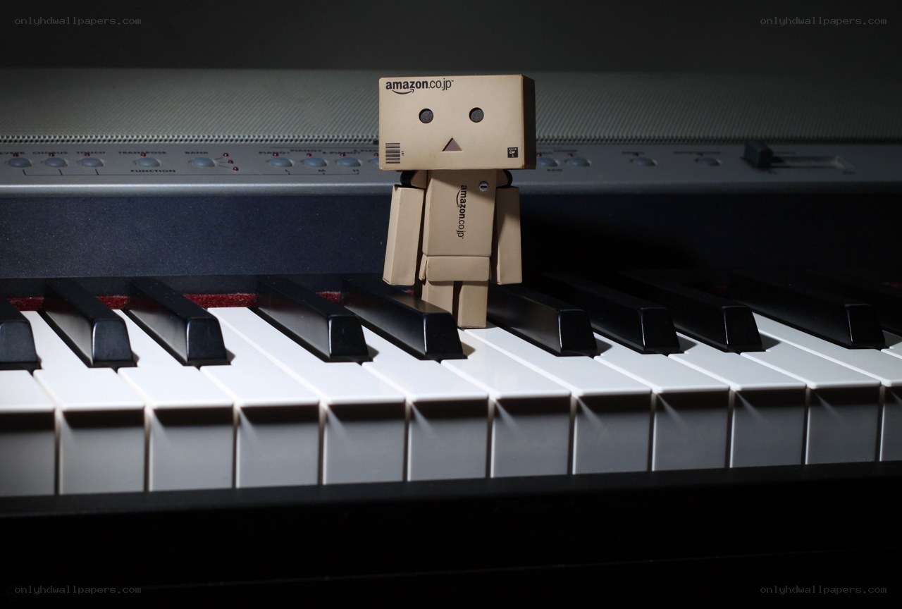 Danbo on a keyboard