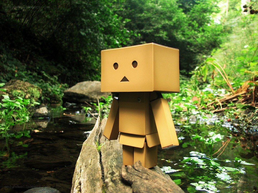 Danbo on a log in the forest