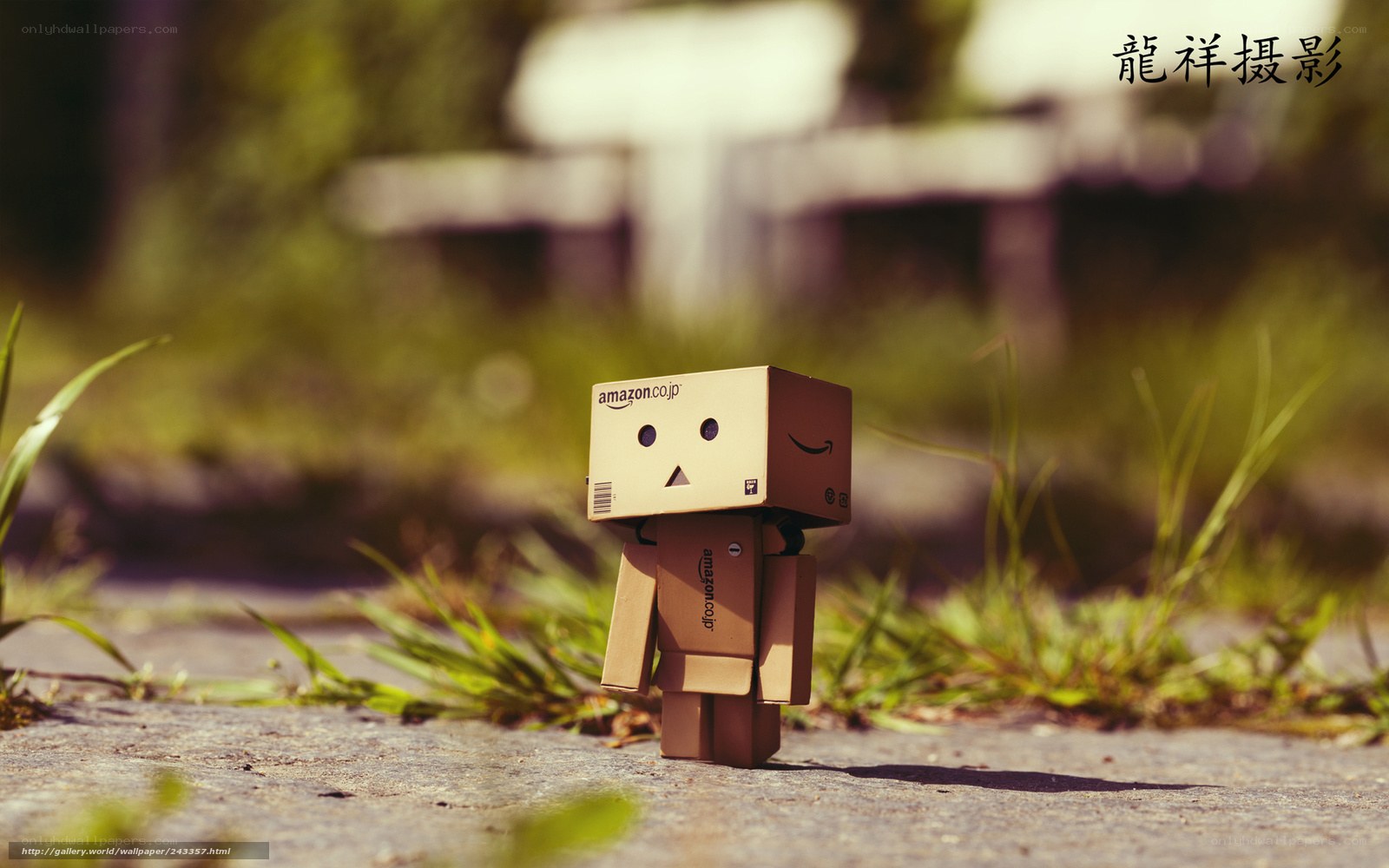 Danbo on a path