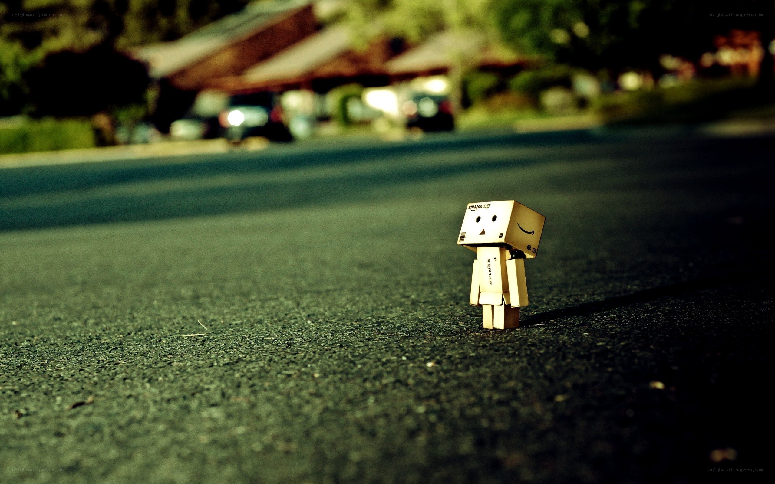 Danbo on a quiet street