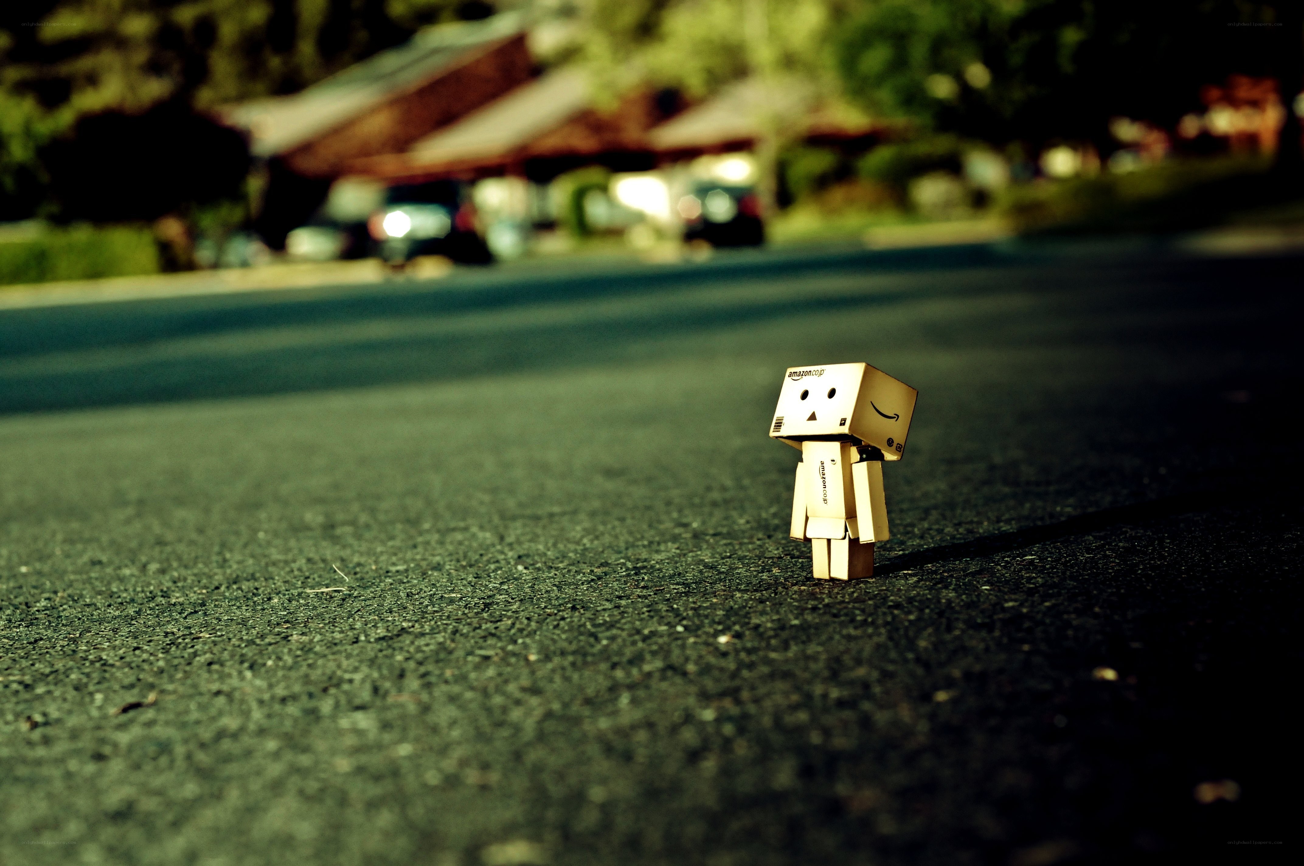 Danbo on a quiet street