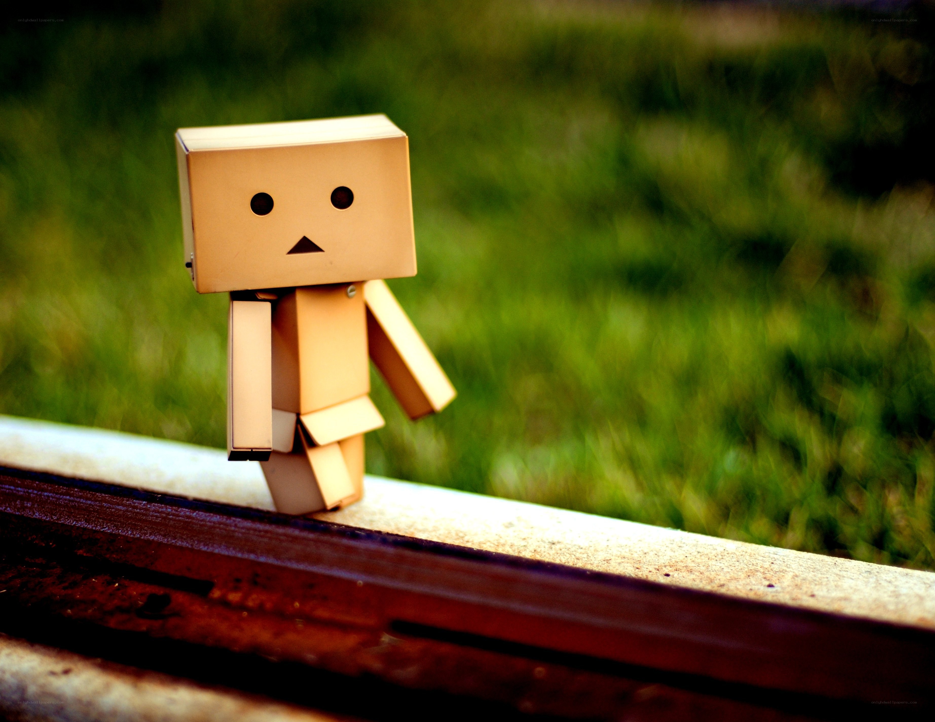 Danbo on a rail