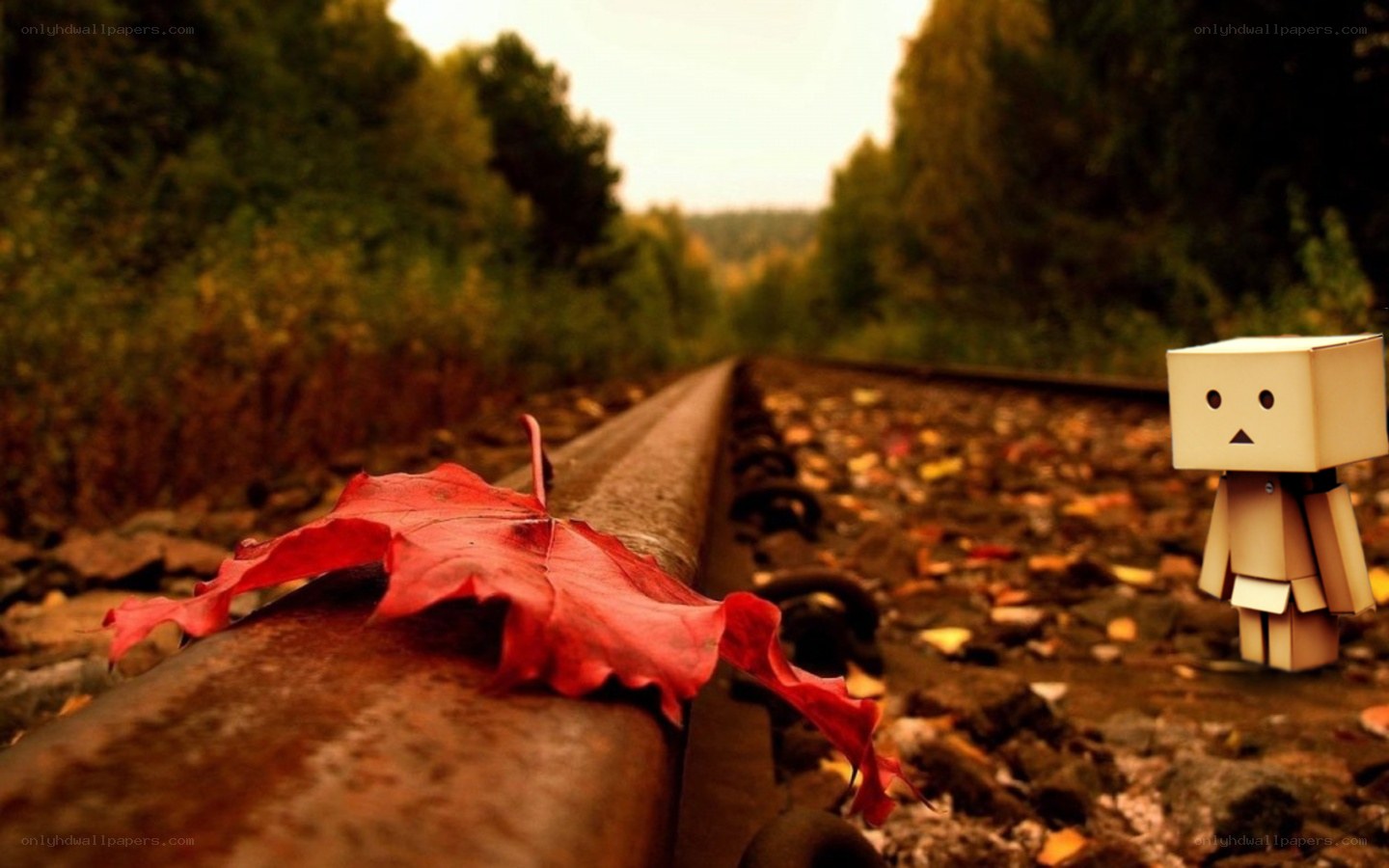 Danbo on a railway track