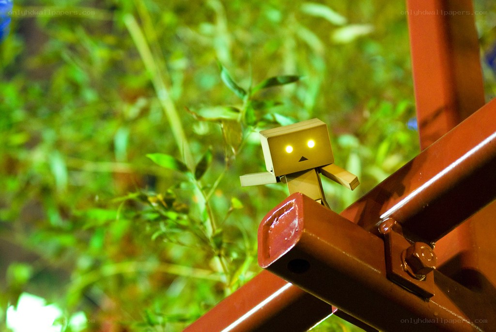 Danbo on a red structure