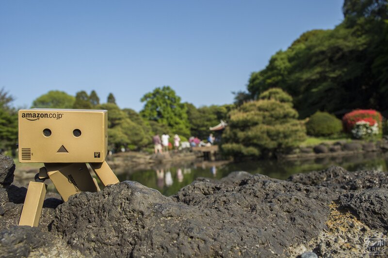 Danbo on a Rock — Brown