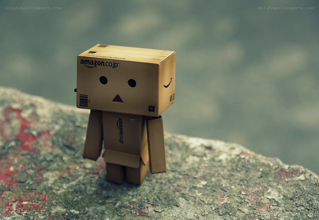Danbo on a rock