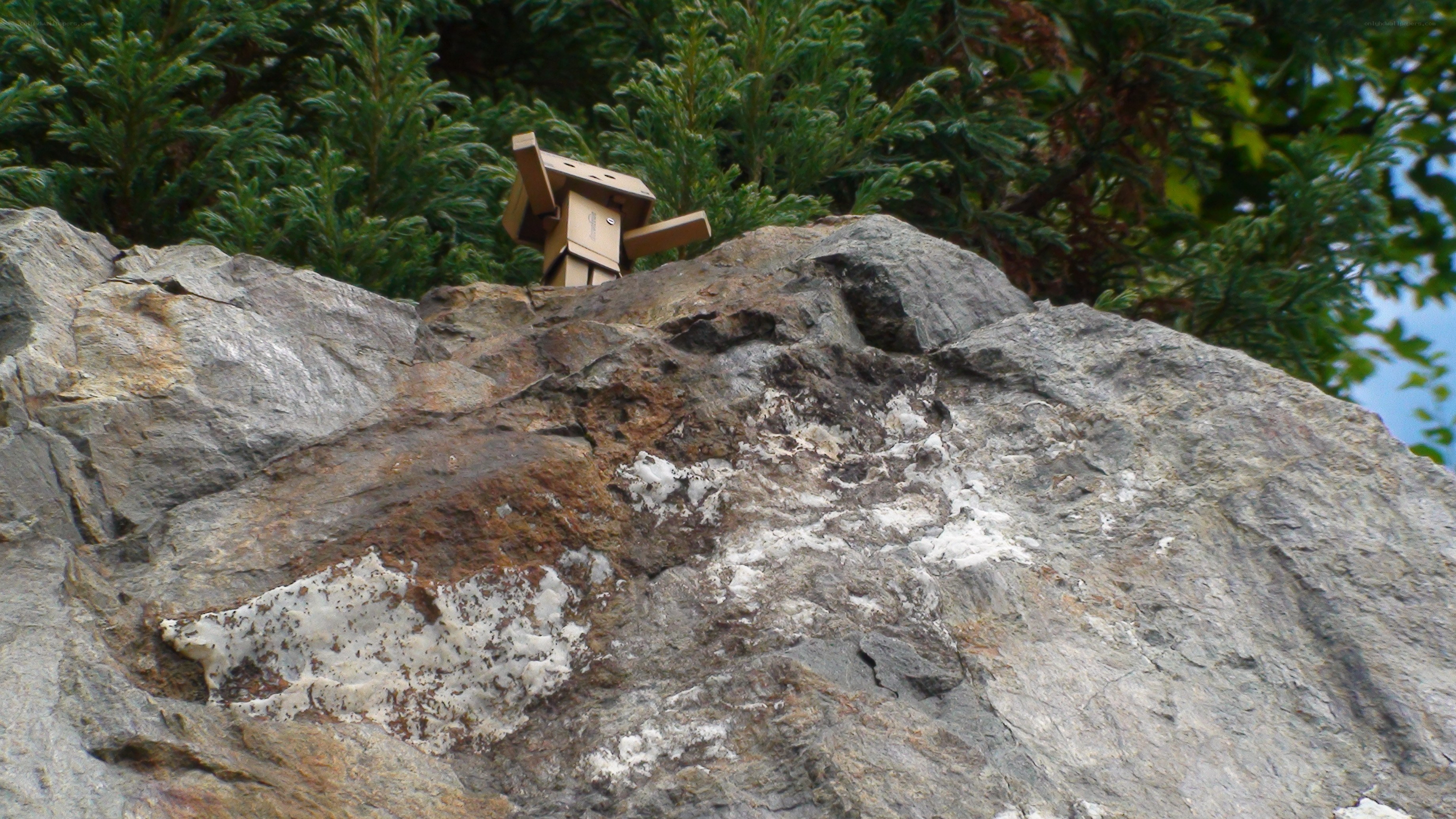Danbo on a rocky cliff