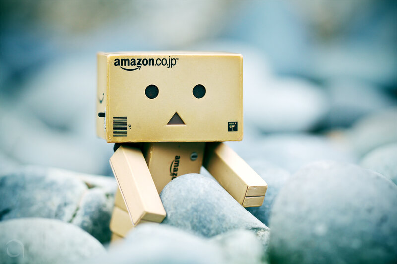 Danbo on a rocky shore