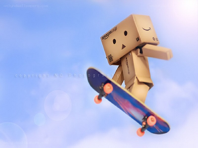 Danbo on a skateboard
