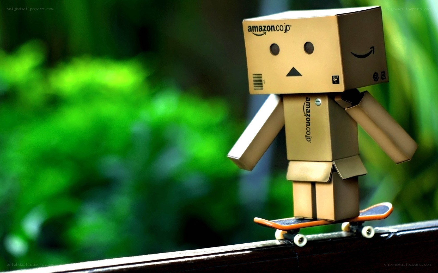 Danbo on a skateboard