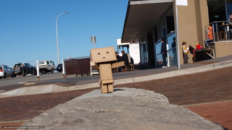 Danbo on a stone by the sea