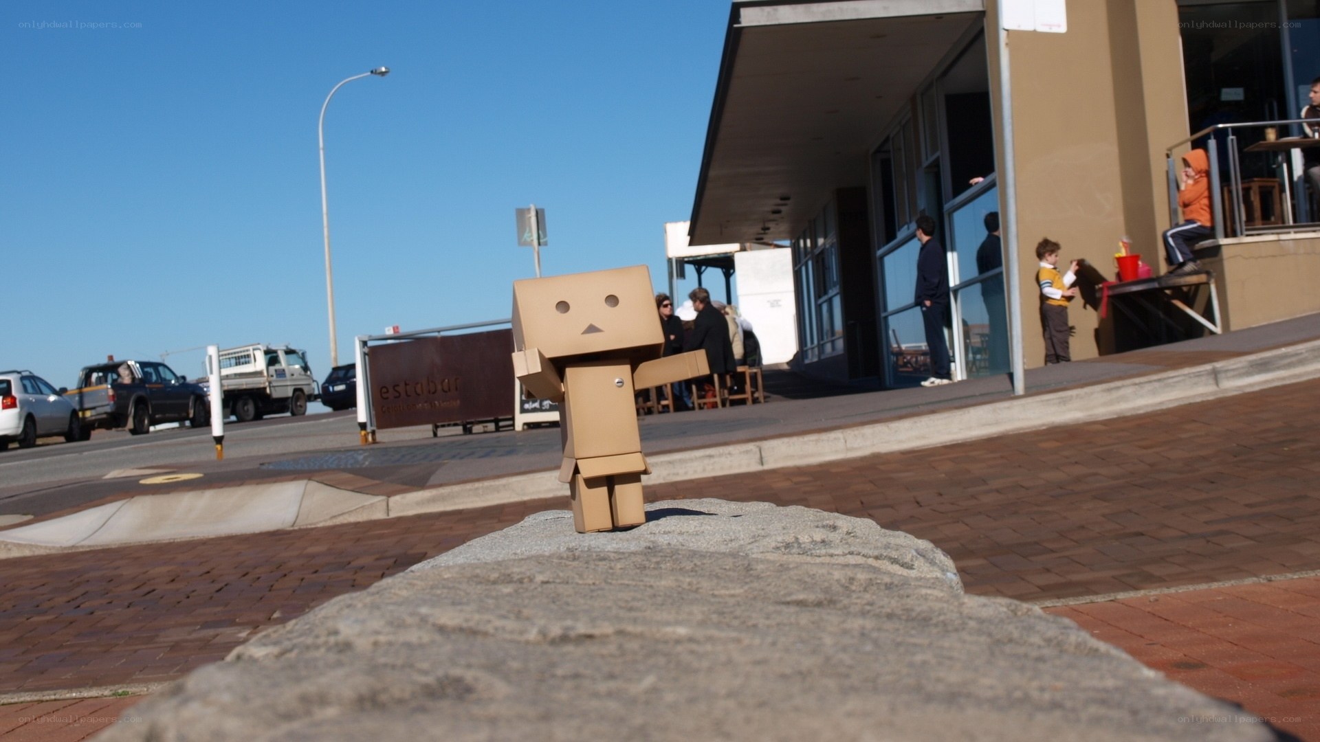 Danbo on a stone by the sea