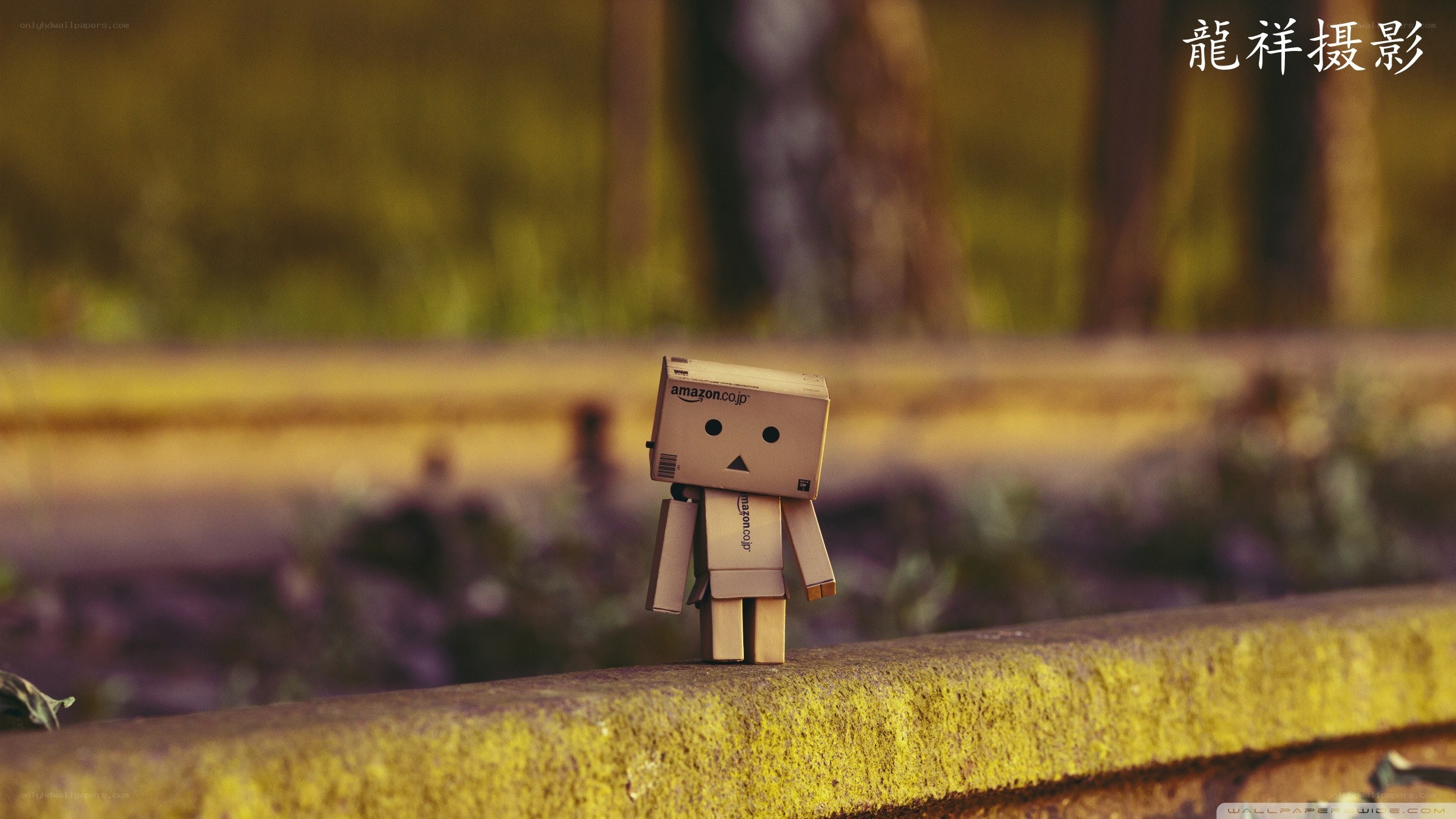 Danbo on a stone wall