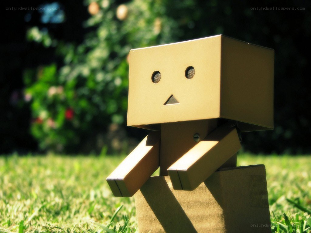Danbo on a sunny lawn