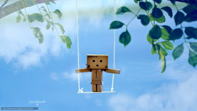 Danbo on a swing