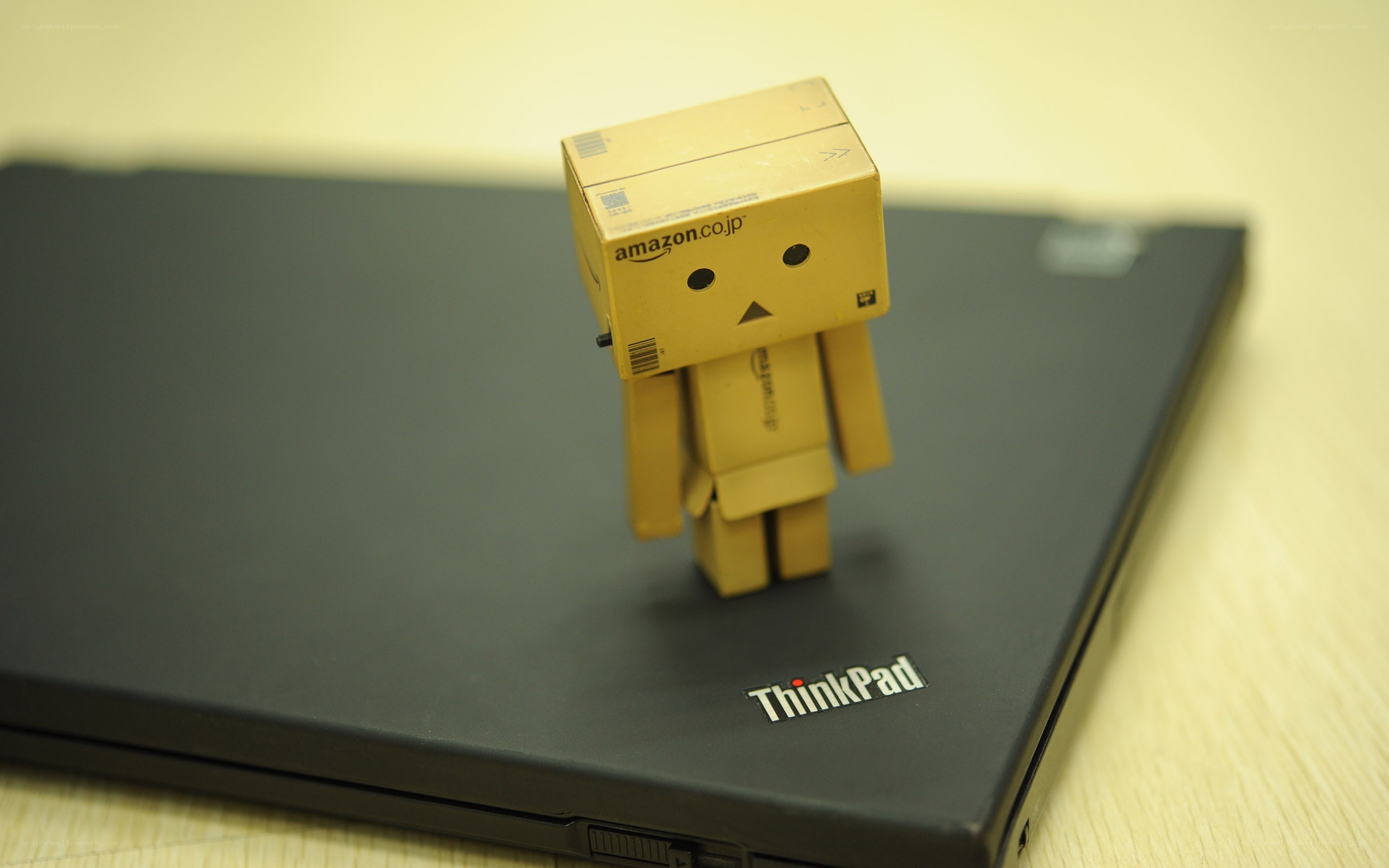 Danbo on a ThinkPad laptop