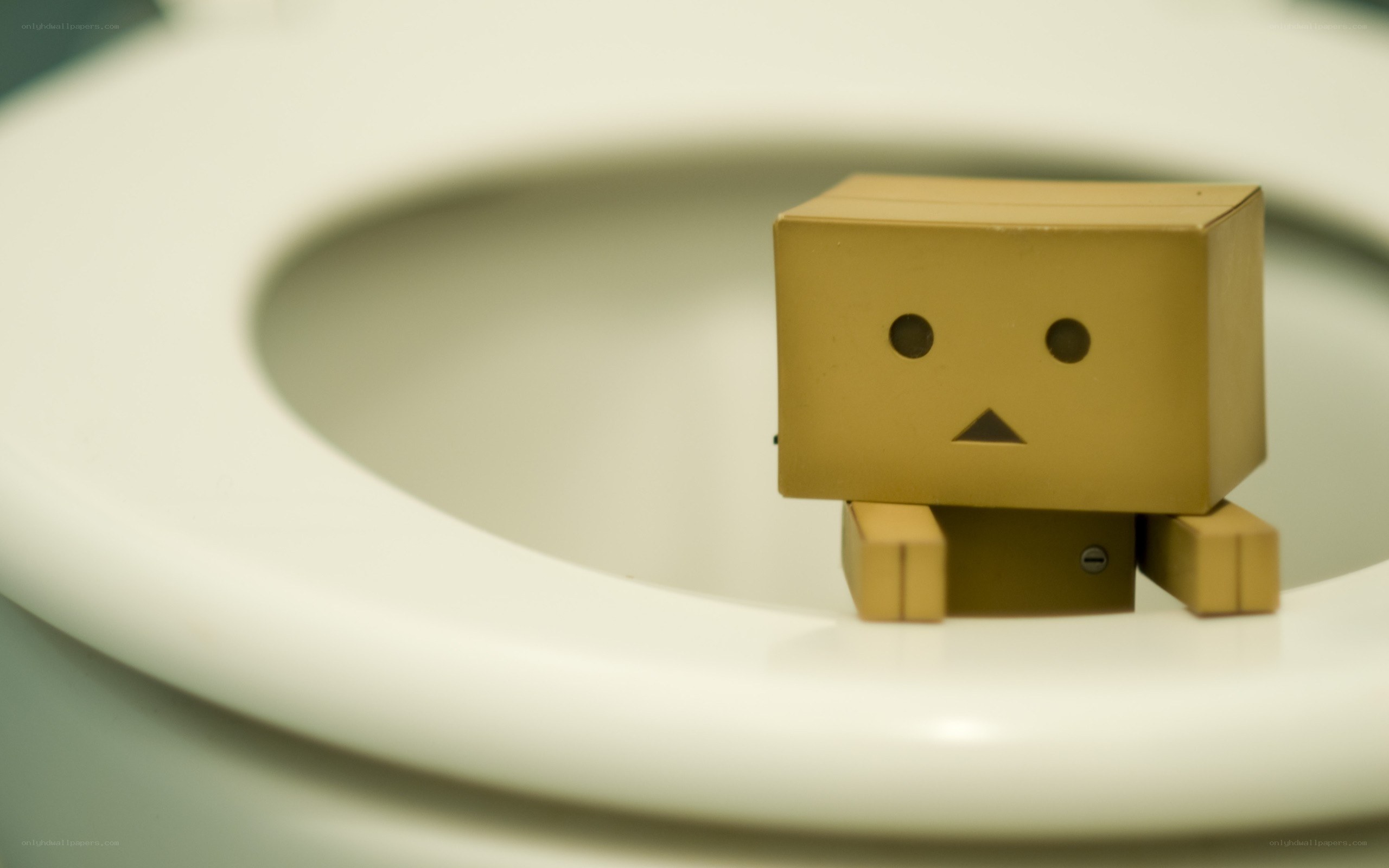 Danbo on a toilet