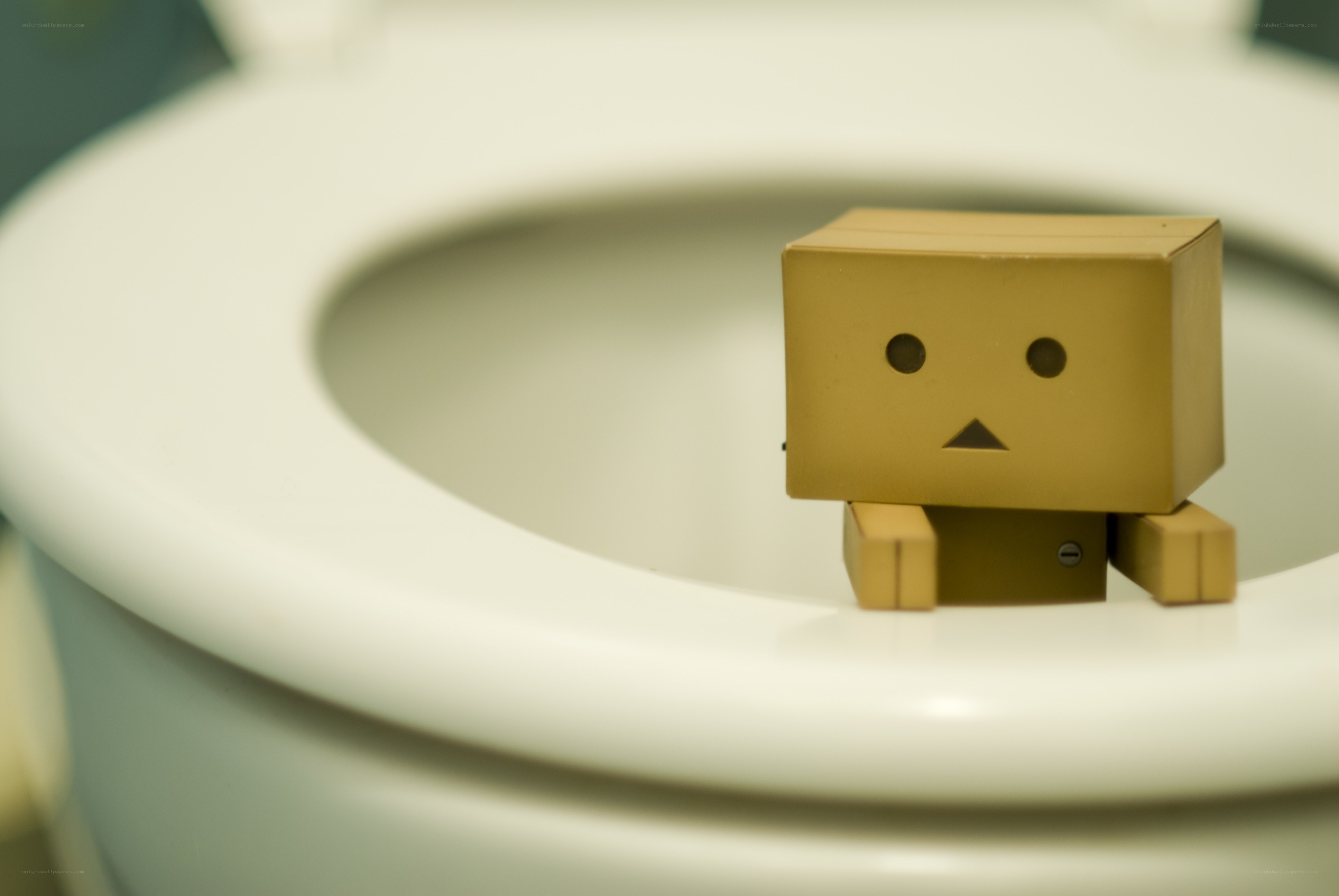 Danbo on a toilet