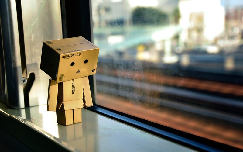 Danbo on a train