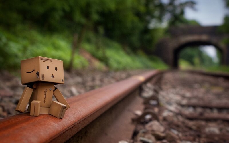 Danbo on a train track