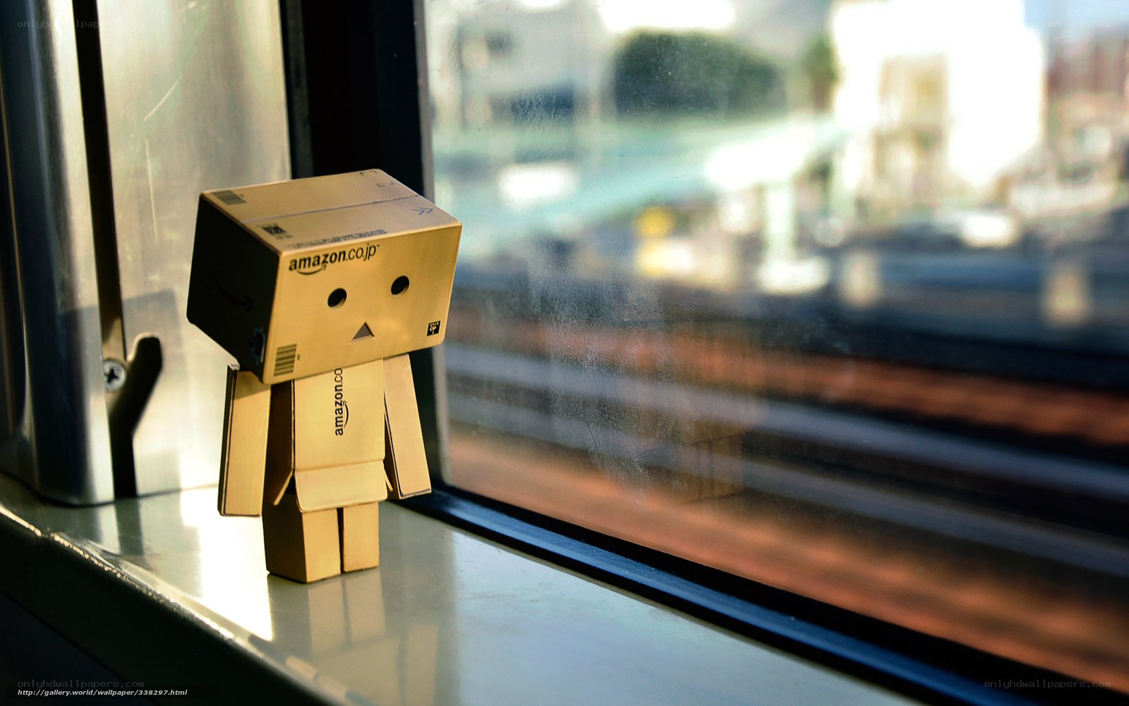 Danbo on a train window