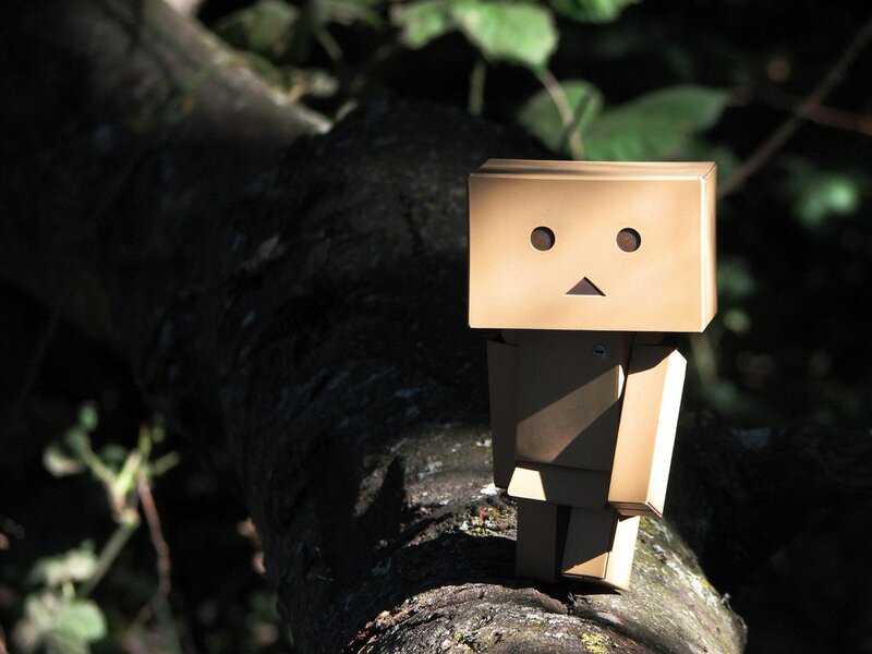 Danbo on a tree branch