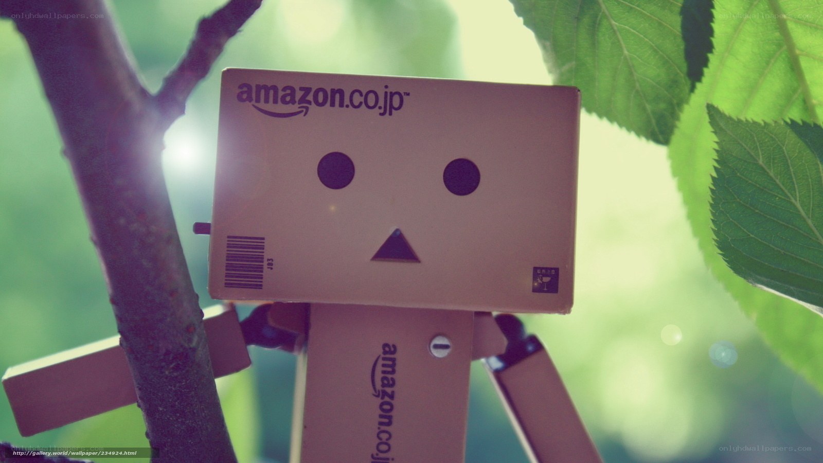 Danbo on a tree branch