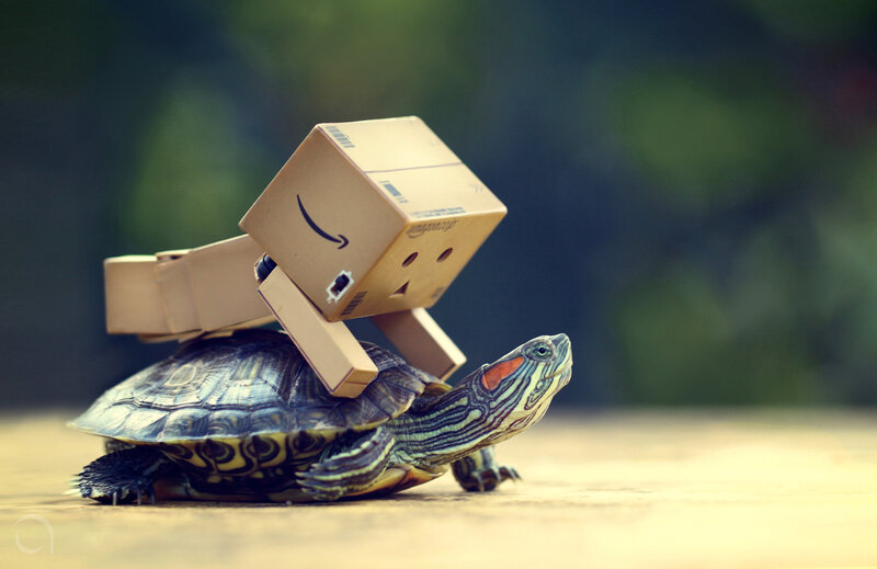 Danbo on a turtle's back