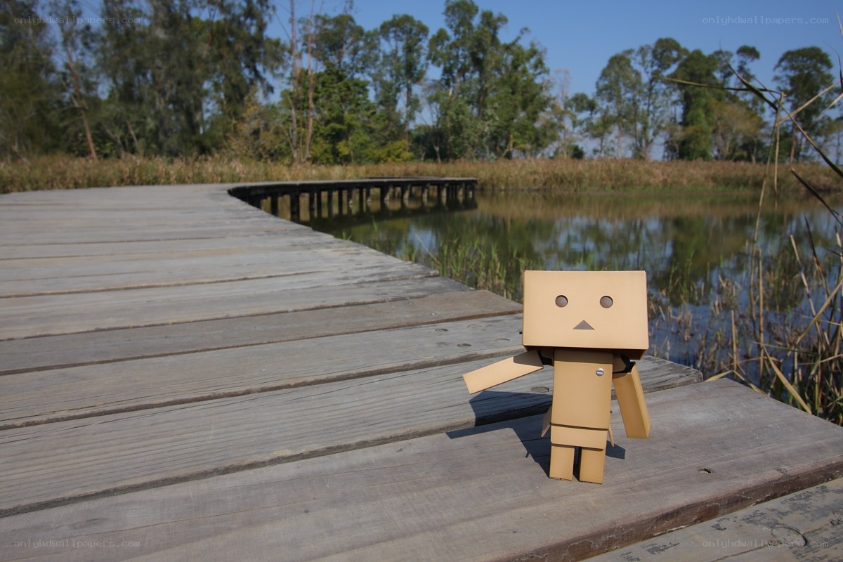 Danbo on a wooden dock