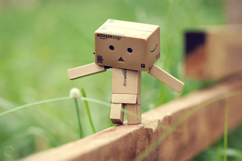 Danbo on a wooden fence