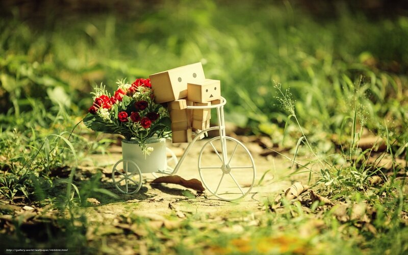 Danbo on Bicycle