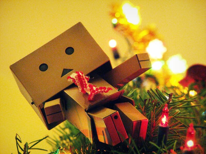Danbo on Christmas tree