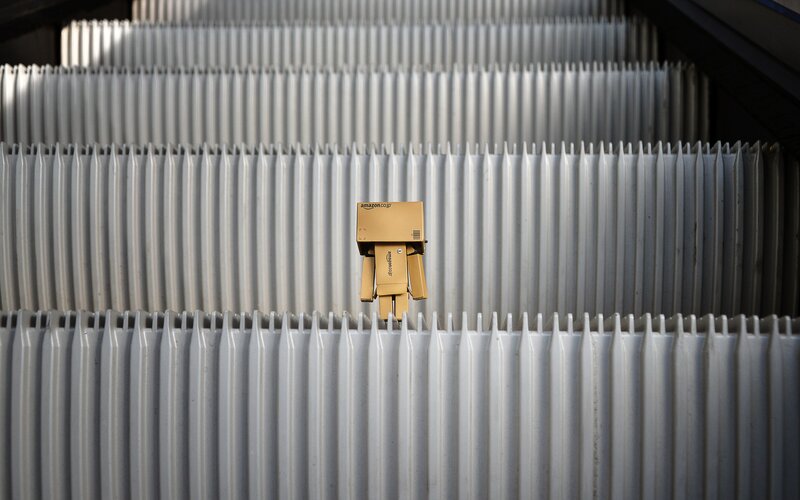 Danbo on escalator steps